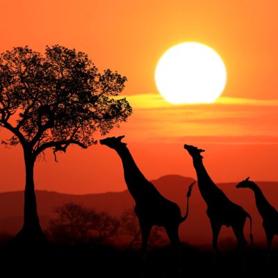 South Africa